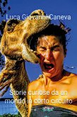 Storie curiose da un mondo in cortocircuito (eBook, ePUB)