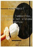 Giovanni Tamborrino. Il teatro nel sistema timbrico (eBook, ePUB)