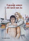 Il grande amore che forse non fu (eBook, ePUB)