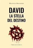 David la Stella del Destino (eBook, ePUB)