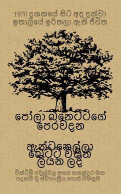 1970 දශකයේ සිට අද දක්වා ඉතාලියේ ඉරිතලා ඇති ජීවිත (eBook, ePUB) - Betti, Antonella