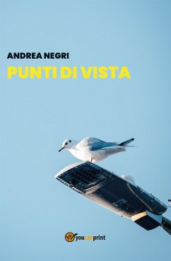 Punti di vista (eBook, ePUB) - Negri, Andrea