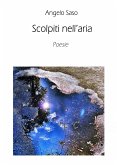 Scolpiti nell'aria (eBook, ePUB)