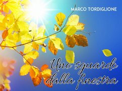 Uno sguardo dalla finestra (eBook, PDF) - Tordiglione, Marco