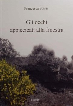 Cover Gli occhi appiccicati alla finestra (eBook, PDF)