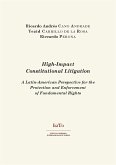 High-Impact Constitutional Litigation (eBook, PDF)