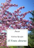 Il Vento Attorno (eBook, ePUB)