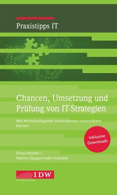 Chancen, Umsetzung und Prüfung von IT-Strategien - Nestler, Diana; Gaugenrieder-Schuster, Marina