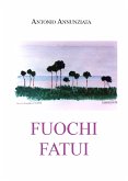 Fuochi fatui (eBook, ePUB)