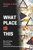 What place is this (eBook, ePUB)