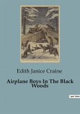 Airplane Boys In The Black Woods