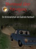 Blutmond über Paraguay (eBook, ePUB)