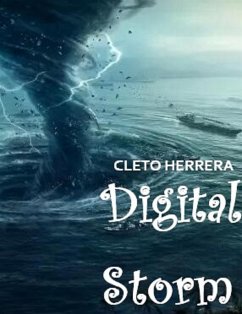 Cover Digital storm (eBook, ePUB)