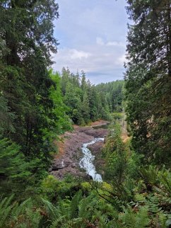 Cover The Dragon and the Boy (eBook, ePUB)