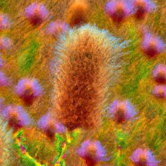 Cover Brave (eBook, ePUB)