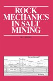 Rock Mechanics in Salt Mining (eBook, ePUB)