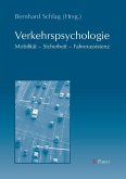 Verkehrspsychologie (eBook, PDF)