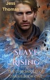 Slave Rising (eBook, ePUB)