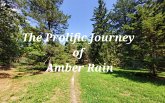 The Prolific Journey of Amber Rain (eBook, ePUB)