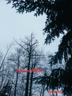 Cover Stories of Odd (eBook, ePUB)