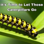 It's Time to Let Those Caterpillars Go (eBook, ePUB)