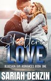 Sheltered by Love (Blueskin Bay Romances, #1) (eBook, ePUB)