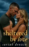 Sheltered by Love (Blueskin Bay Romances, #1) (eBook, ePUB)