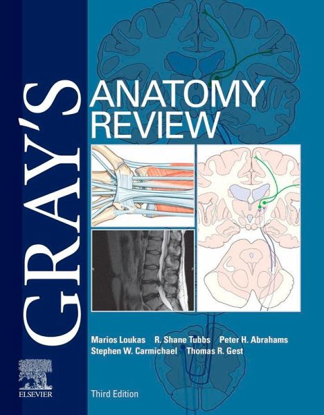 Gray's Anatomy Review E-Book (eBook, ePUB) Gray's Anatomy Review E-Book (eBook, ePUB)