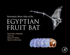 Cover Stereotaxic Brain Atlas of the Egyptian Fruit Bat (eBook, ePUB)