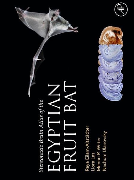 Stereotaxic Brain Atlas of the Egyptian Fruit Bat (eBook, ePUB)