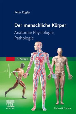 Der menschliche Körper (eBook, ePUB) - Kugler, Peter