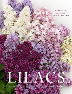 Cover Lilacs (eBook, ePUB)