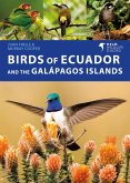 Birds of Ecuador and the Galápagos Islands (eBook, ePUB)