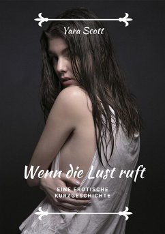 Wenn die Lust ruft (eBook, ePUB) - Scott, Yara