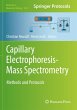 Capillary Electrophoresis-Mass... - Bild 1