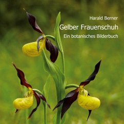 Gelber Frauenschuh - Berner, Harald