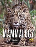 Mammalogy (eBook, ePUB)