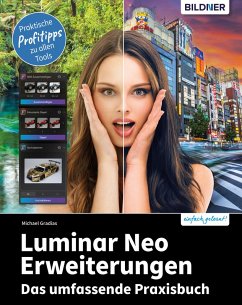 Cover Luminar Neo Erweiterungen (eBook, PDF)