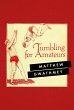 Tumbling for Amateurs (eBook, ePUB) - Bild 1