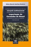 Análise da expansão da marca de uma varejista multinacional americana e de uma empresa de exportação de Carnaúba do Brasil do Estado do Ceará no comércio internacional (eBook, ePUB)