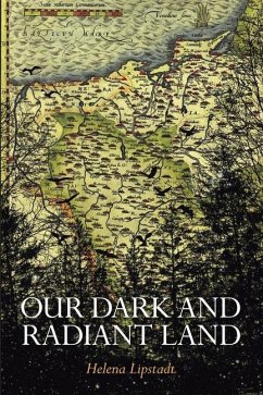 Our Dark and Radiant Land - Lipstadt, Helena