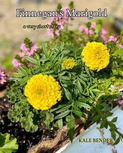 Cover Finnegan's Marigold