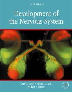 Development of the Nervous System (eBook, ePUB) - Sanes, Dan H.; Reh, Thomas A.; Harris, William A.; Landgraf, Matthias