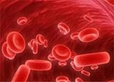 Total Leucocyte Count (TLC) (eBook, ePUB) Total Leucocyte Count (TLC) (eBook, ePUB)