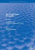 The Frankenstein Notebooks (eBook, ePUB)
