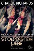 Stolperstein Liebe (eBook, ePUB)