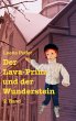 Der Lava-Prinz und der Wunderstein... - Bild 1