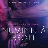 Numinn á brott - Erótísk smásaga (MP3-Download)