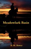 Meadowlark Basin (eBook, ePUB)