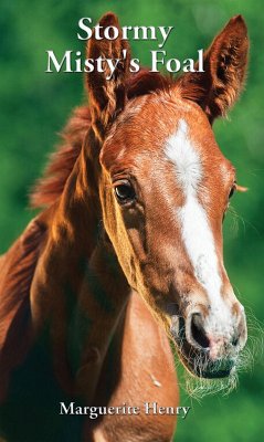 Cover Stormy, Misty's Foal (eBook, ePUB)